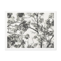 Schwarz-Weiß-Silhouette