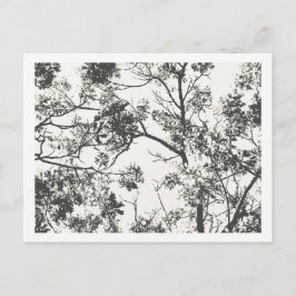 Schwarz-Weiß-Silhouette Postkarte