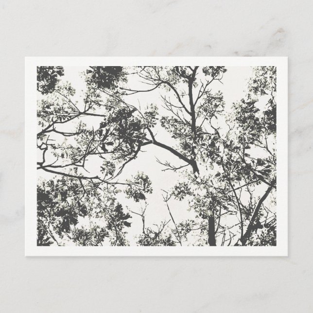 Schwarz-Weiß-Silhouette Postkarte (Vorderseite)