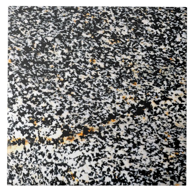 Schwarz-Weiß-Speckling-Rock-Foto Keramik Tile Fliese (Vorderseite)