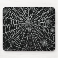 Schwarz-Weiß-Spinnennetze WebHalloween