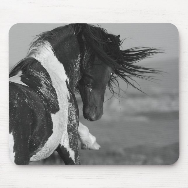 Schwarz-Weiß-Stallion Strikes Wildhorse-Mousepad Mousepad (Vorne)