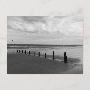 Schwarz-Weiß-Strand-Postkarte Postkarte