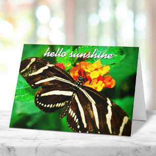 Schwarz Weiß Streifen Schmetterling Hallo Sonnensc Karte