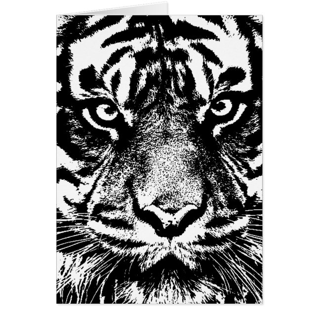 Schwarz-weiß Sumatran Borneo Tiger Eye Artwork (Vorne)