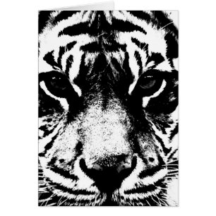 Schwarz-Weiß-Tiger