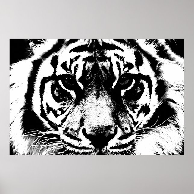 Schwarz-Weiß-Tiger-Augen Poster (Vorne)