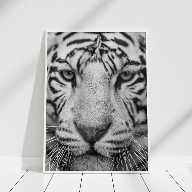 Schwarz-Weiß-Tiger-Druckplakat Poster (Black and White Tiger Print Poster in white frame on white wooden floor.)