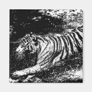 Schwarz-Weiß-Tiger Magnet