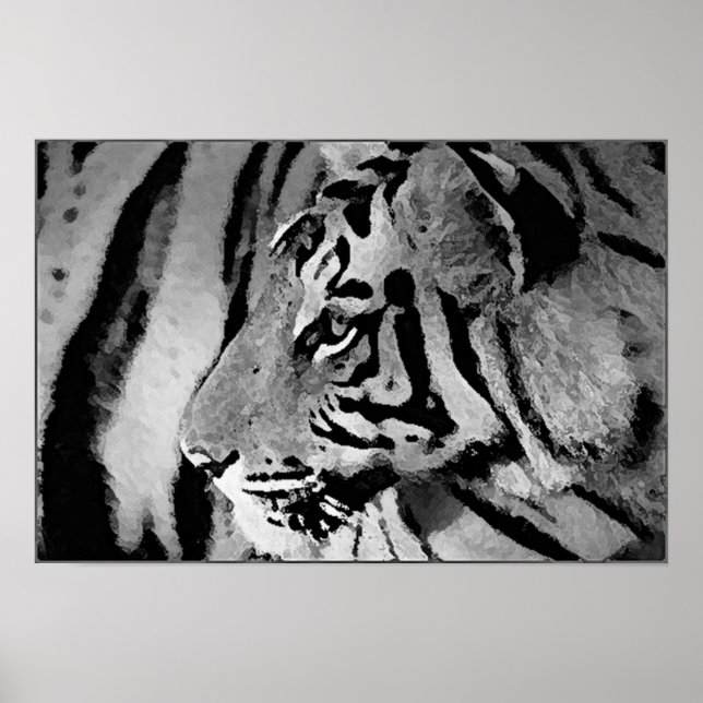 Schwarz-Weiß-Tiger-Poster drucken Poster (Vorne)