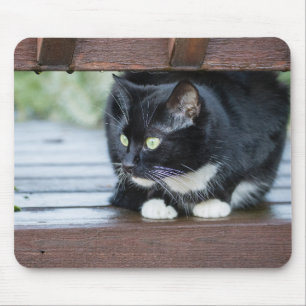 Schwarz-Weiß-Tuxedo-Katze Mousepad