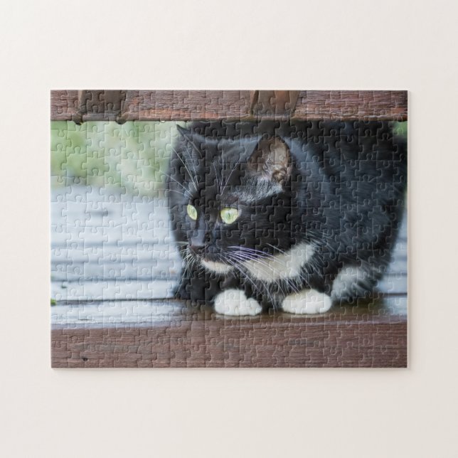 Schwarz-Weiß-Tuxedo-Katze Puzzle (Horizontal)