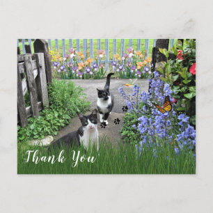 Schwarz-Weiß Tuxedo Katzen im Garten Vielen Dank Postkarte
