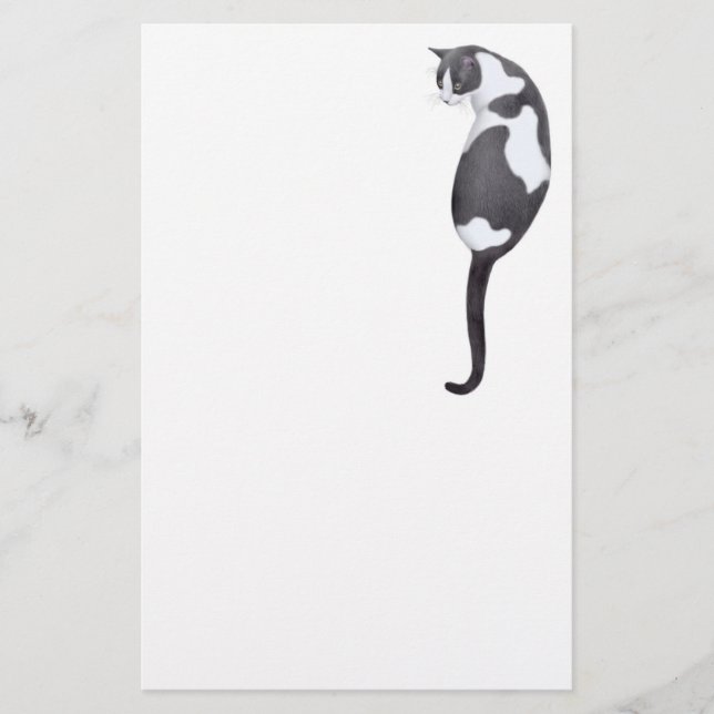 Schwarz-Weiß-Tuxedo-Katzenstationery Briefpapier (Vorderseite)