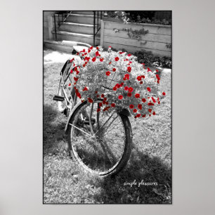 Schwarz-Weiß Vintages Fahrrad Rote Blume Poster