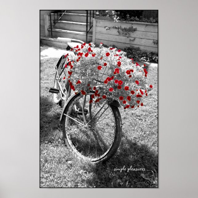 Schwarz-Weiß Vintages Fahrrad Rote Blume Poster (Vorne)