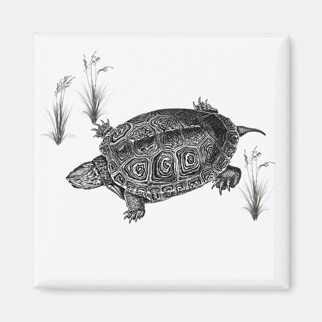 Schwarz-Weiß-Wasserschildkröte Magnet (Vorne)