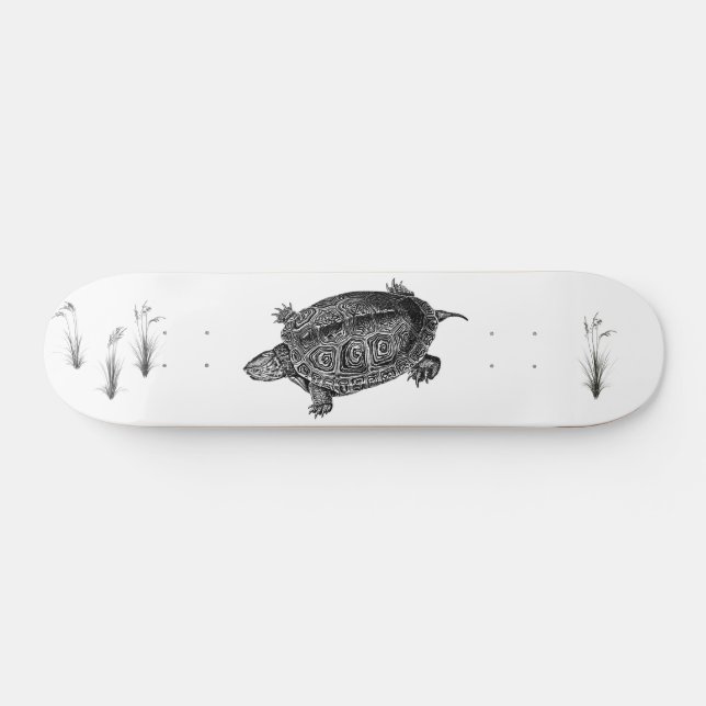 Schwarz-Weiß-Wasserschildkröte Skateboard (Horizontal)