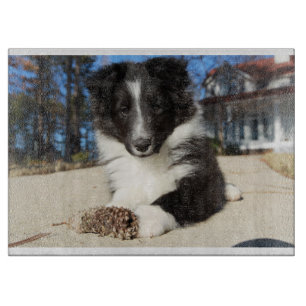 Schwarz-Weiß-Welpe Schneidebrett