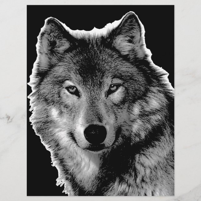 Schwarz-Weiß-Wolf (Vorderseite)