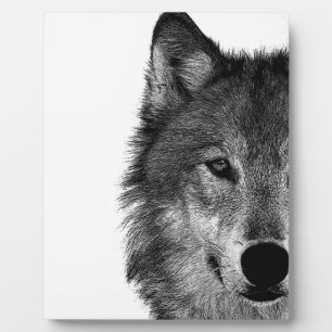 Schwarz-Weiß-Wolf-Augustift Fotoplatte