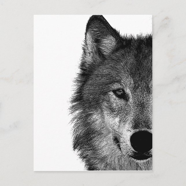 Schwarz-Weiß-Wolf-Augustift Postkarte (Vorderseite)