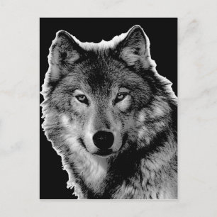 Schwarz-Weiß-Wolf-Kunstwerk Postkarte