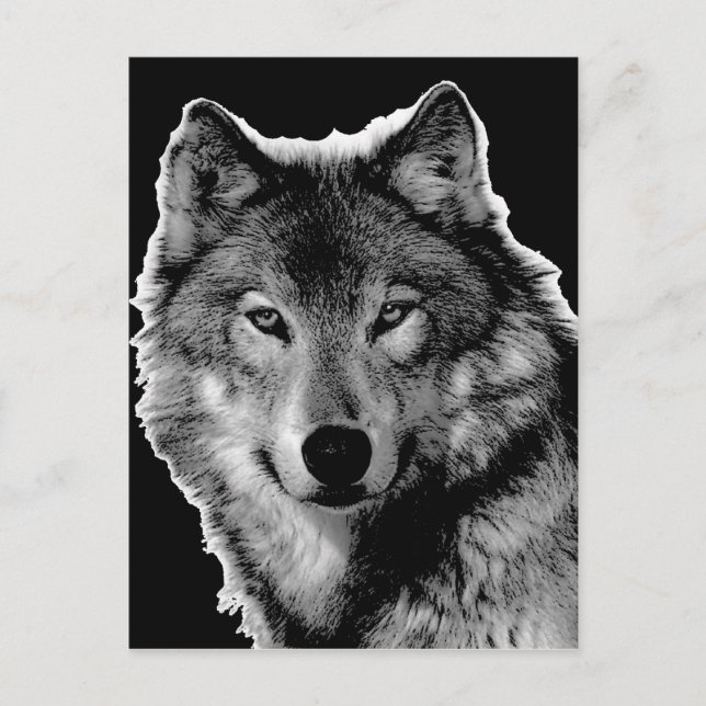 Schwarz-Weiß-Wolf-Kunstwerk Postkarte (Vorderseite)