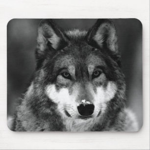 Schwarz-Weiß-Wolf Mousepad