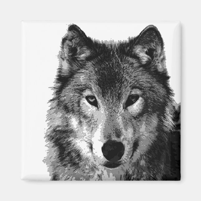Schwarz-Weiß-Wolf-Portrait Magnet (Vorne)
