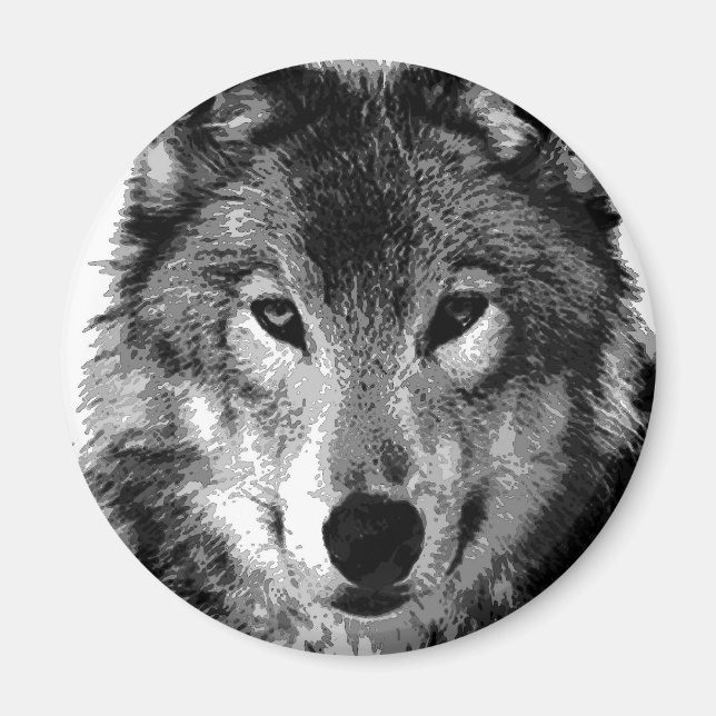 Schwarz-Weiß-Wolf-Portrait Magnet (Vorne)
