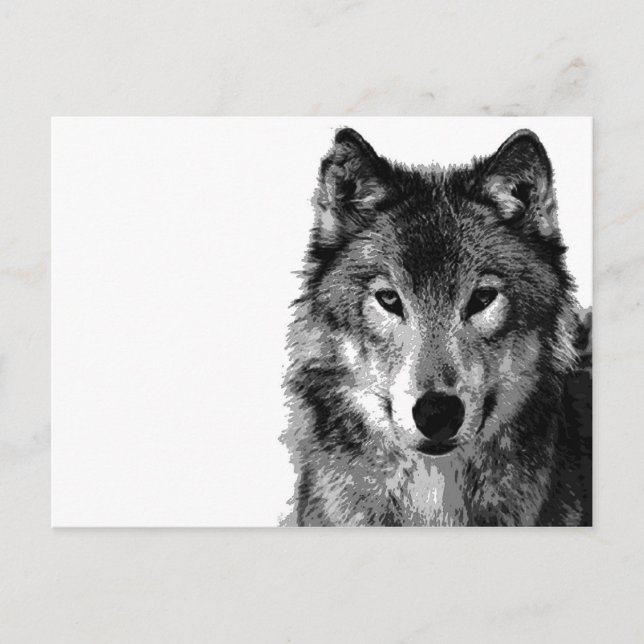 Schwarz-Weiß-Wolf-Portrait Postkarte (Vorderseite)