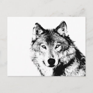 Schwarz-Weiß-Wolf Postkarte