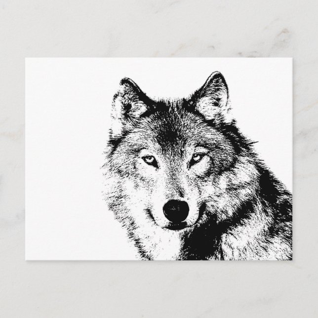 Schwarz-Weiß-Wolf Postkarte (Vorderseite)