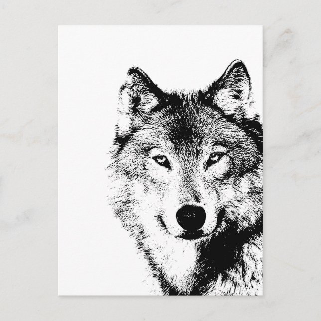 Schwarz-Weiß-Wolf Postkarte (Vorderseite)