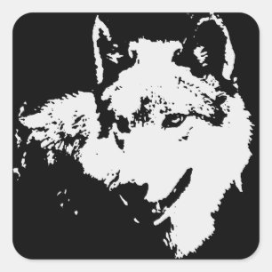 Schwarz-Weiß-Wolf Quadratischer Aufkleber