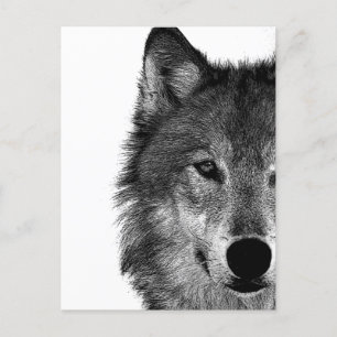 Schwarz-Weiß-Wolfauge-Kunstwerk Feiertagspostkarte