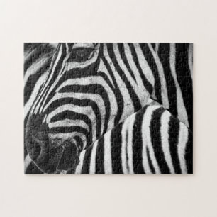Schwarz-Weiß-Zebra Puzzle