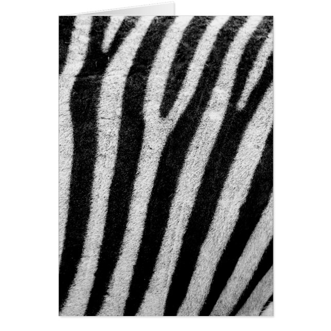 Schwarz-Weiß-Zebrastreifen (Vorne)
