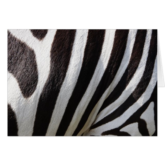 Schwarz-Weiß-Zebrastreifen (Vorderseite (Horizontal))