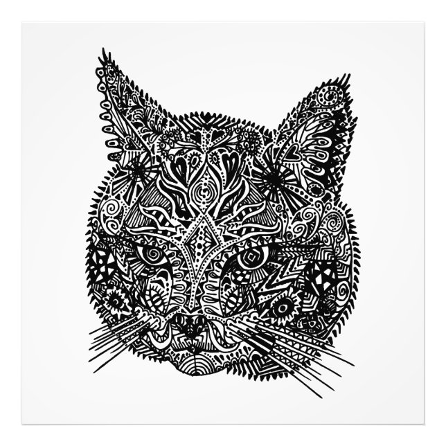 Schwarz-Weiß-Zierkatzen-Portrait Fotodruck (Vorne)