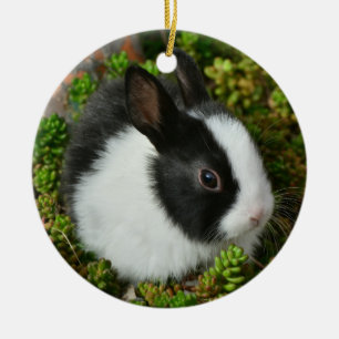 Schwarz-Weiß-Zwerg Mini Bunny Rabbit Keramik Ornament