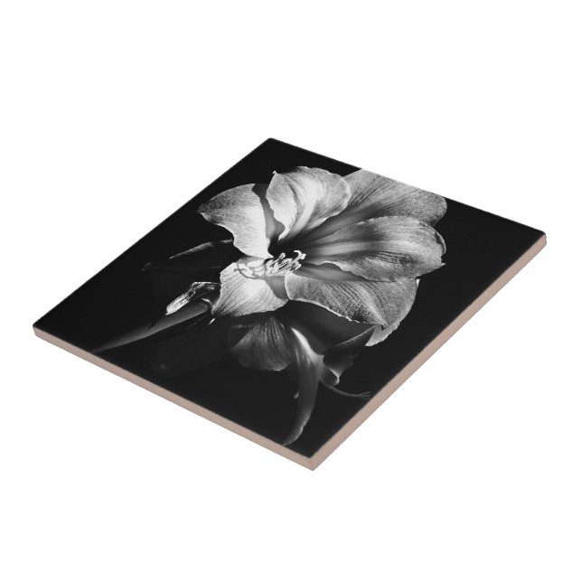 SCHWARZ-WEIßE AMARYLLIS FLIESE (Seite)