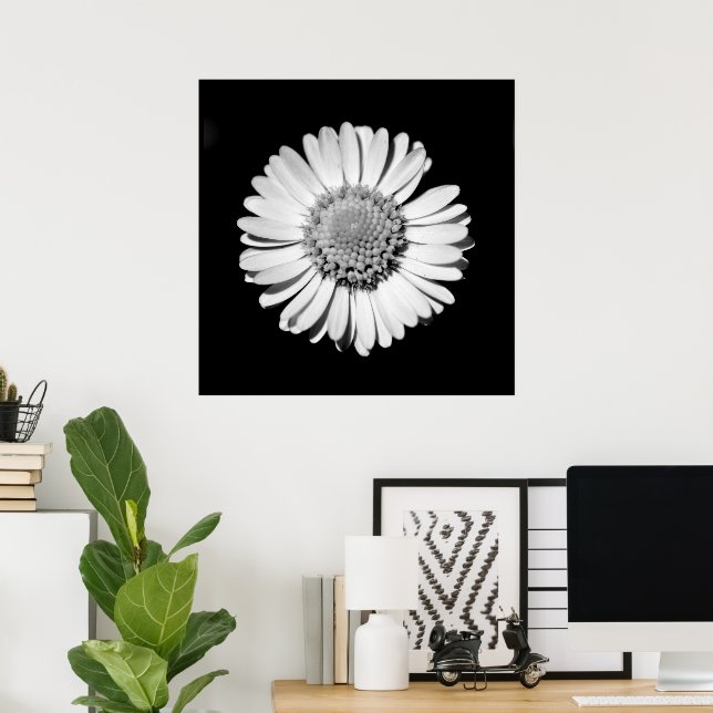 Schwarz-weiße Daisy Floral Art Botanische Fotograf Poster (Heimbüro)