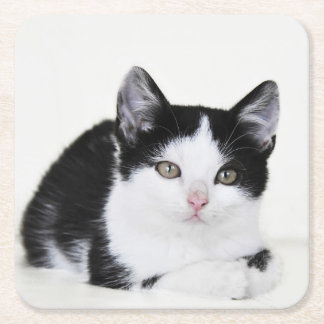 Schwarz-weiße durchdachte Kitten Paper Untersetzer