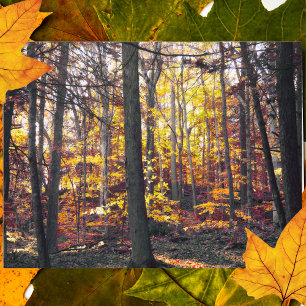 Schwarz-Weiße farbenfrohe Herbst-Postkarte Postkarte