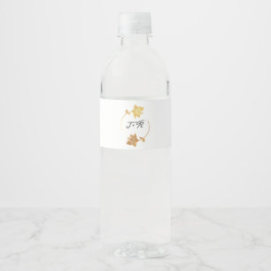 Schwarz-weiße goldene wasserflaschenetikett