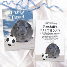 Schwarz-weiße Guinea des Party Schweineball