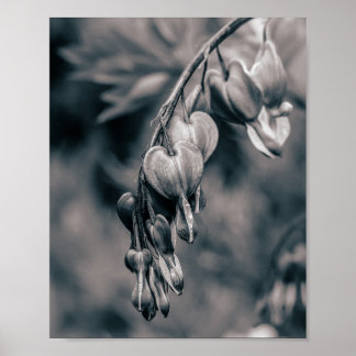 Schwarz-weiße Herzblumen, Romantische F Poster