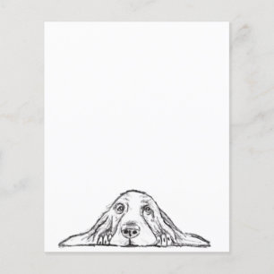 Schwarz-weiße Hundeaugen